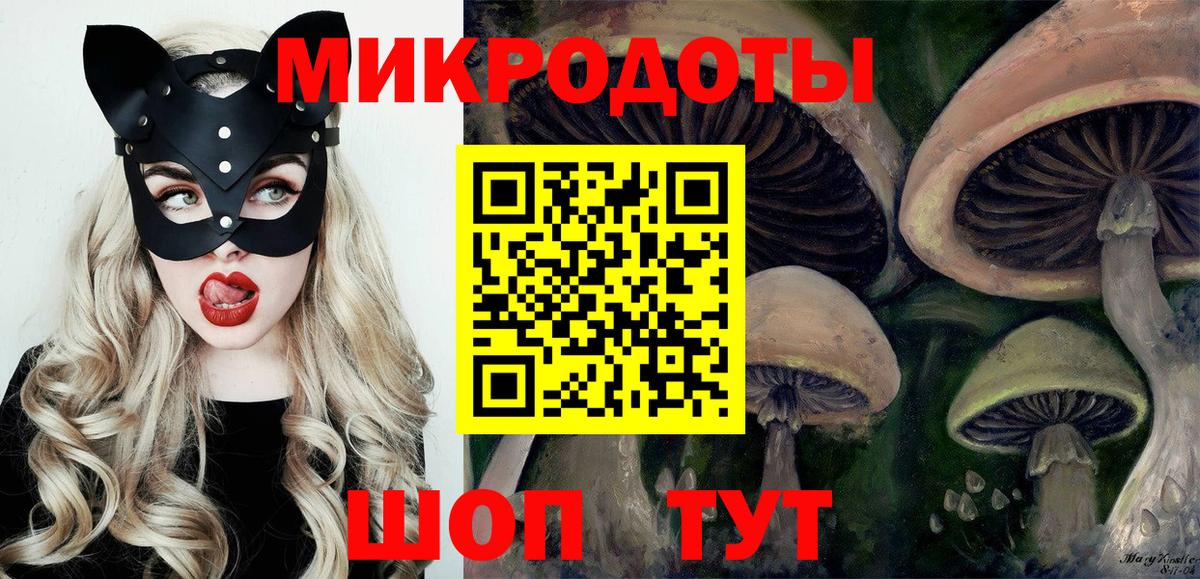 Медногорск  Псилоцибиновые грибы Cubensis  Вход с VPN  Галлюциногенные грибы MAGIC MUSHROOMS 