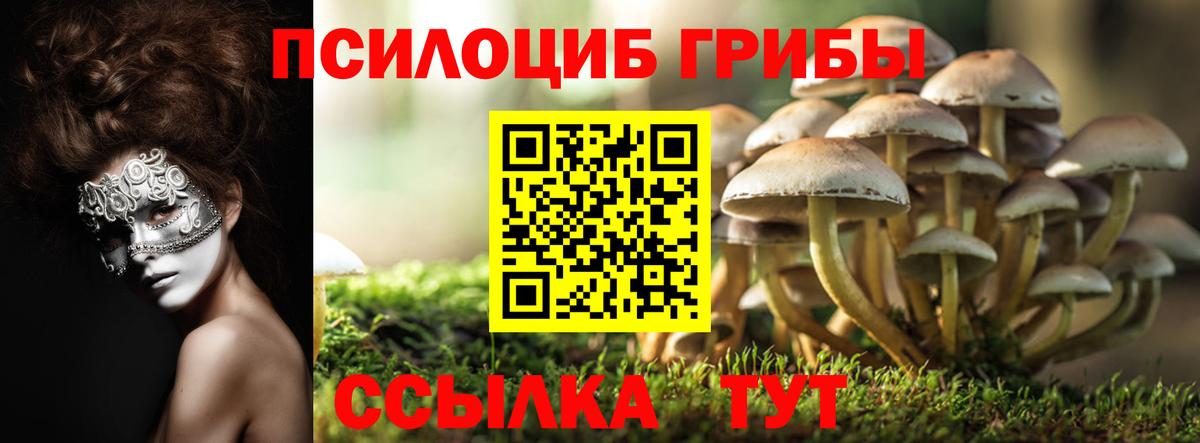 Галлюциногенные грибы Cubensis Медногорск